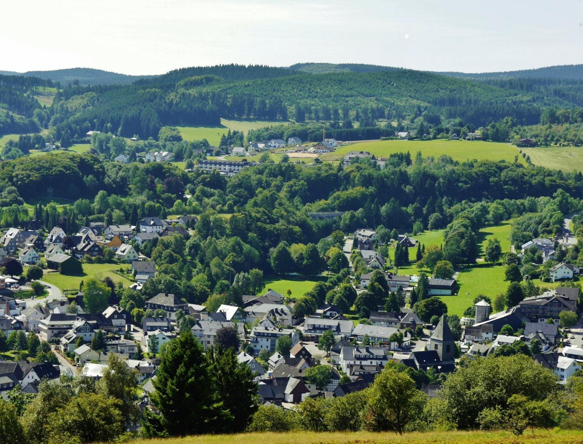 Ferienhaus Diemelquelle - Mit Eingezaeuntem Garten Willingen  Exterior photo