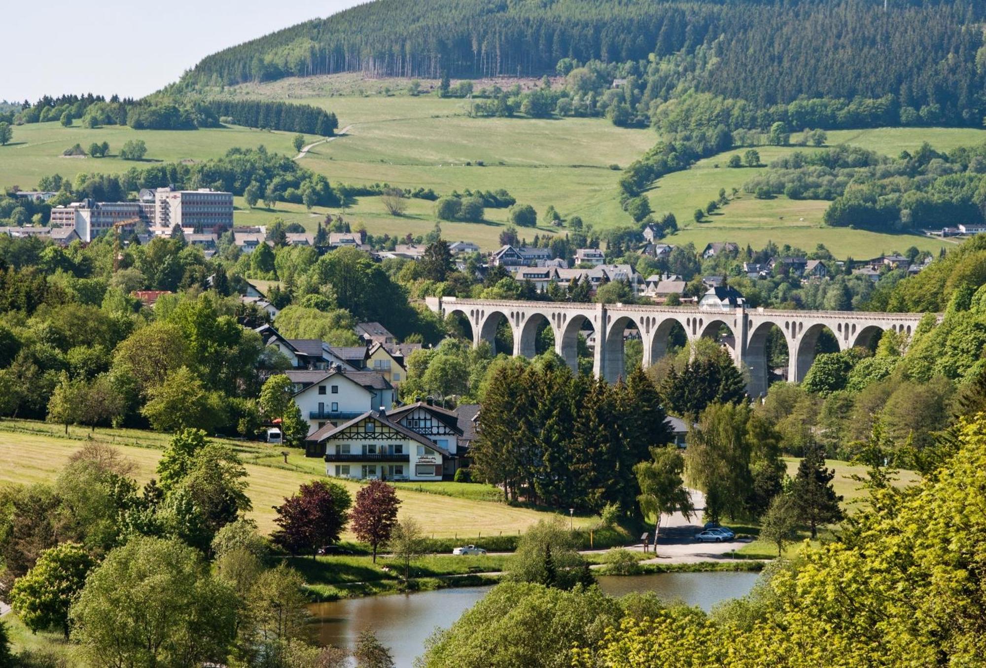 Ferienhaus Diemelquelle - Mit Eingezaeuntem Garten Willingen  Exterior photo
